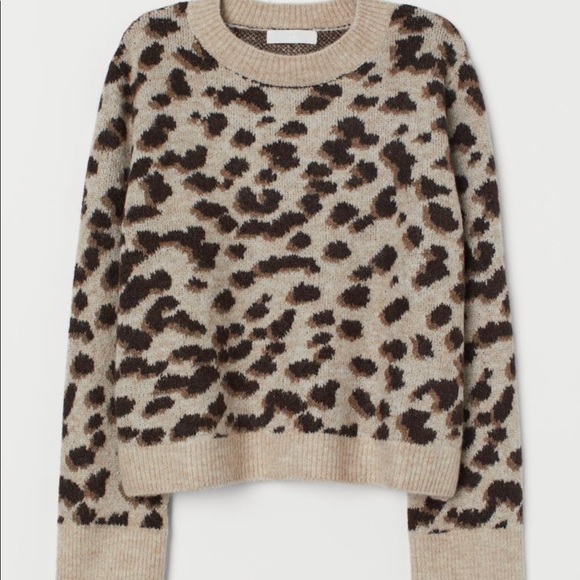 H&M Sweaters - Cheetah print sweater